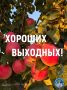 #Избирком57. #ОрелОблизбирком