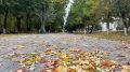 Завершающие выходные сентября на Орловщине будут пасмурными