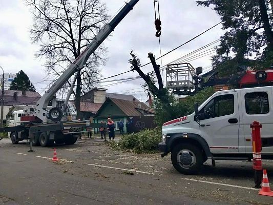 Ураганный ветер повалил деревья на семи улицах Орла — "Спецавтобаза" устраняет последствия Ураганный ветер повалил деревья на семи улицах Орла — "Спецавтобаза" устраняет последствия