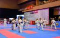 За кубок Орла поборолись 1750 каратистов