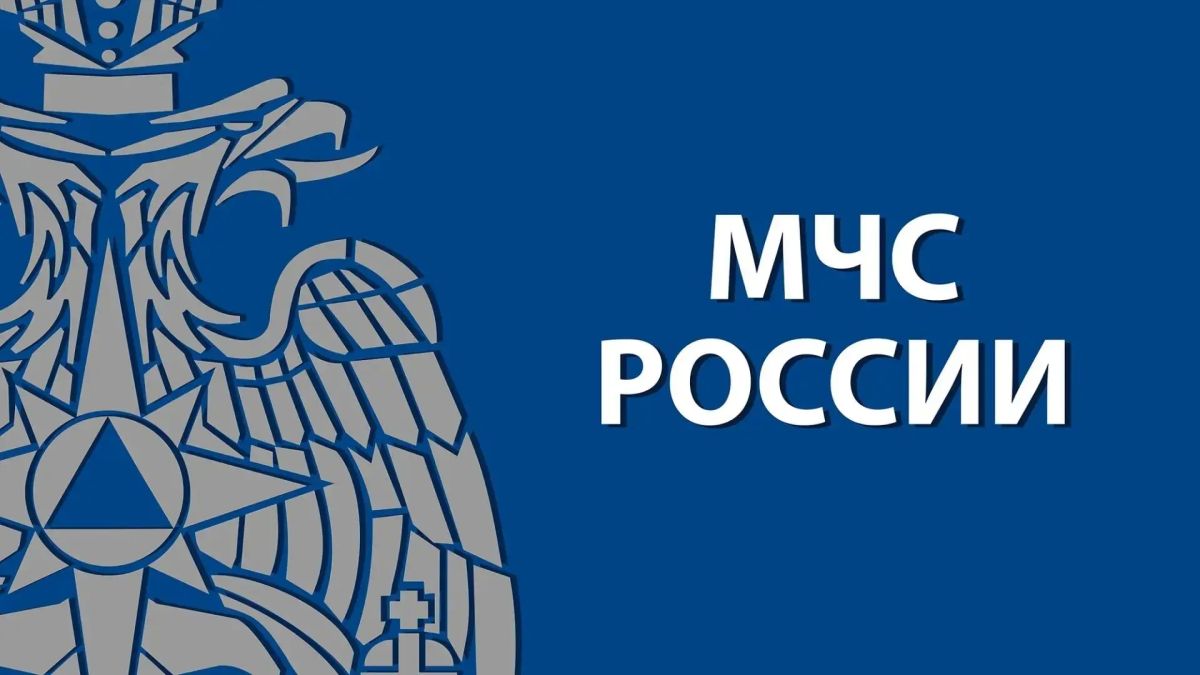 Выдача заключения по результатам комплексных учений на Едином портале государственных и муниципальных услуг