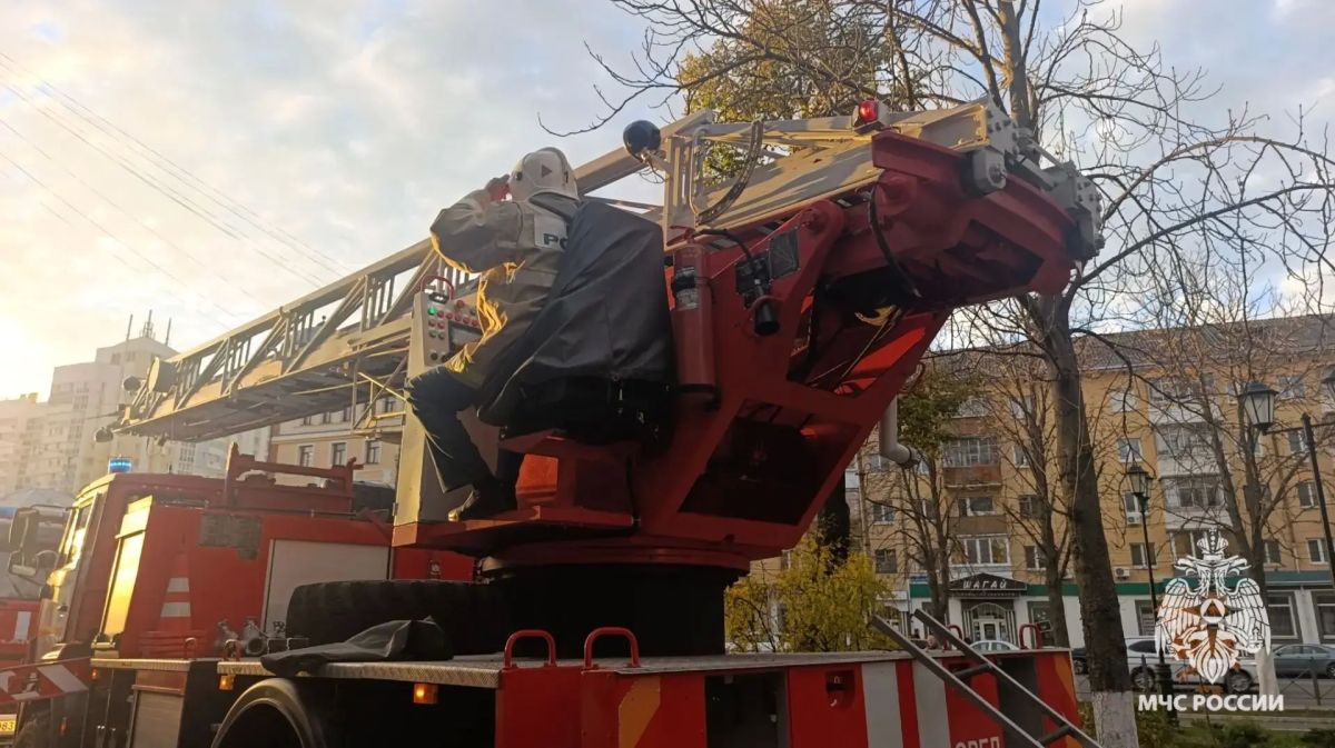 В Орле из горящей квартиры спасли женщину, ещё 11 спасены из соседних квартир В Орле из горящей квартиры спасли женщину, ещё 11 спасены из соседних квартир