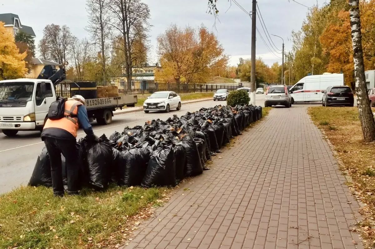 Осенний порядок в парках и скверах Орла: почему важно убирать листву?
