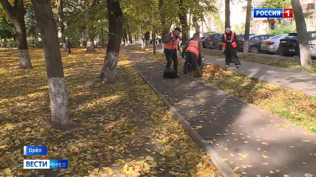 Орловские коммунальщики приступили к сезонной уборке листьев