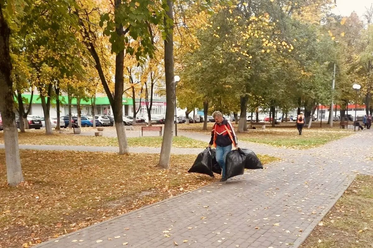 Осенний порядок в парках и скверах Орла: почему важно убирать листву? Осенний порядок в парках и скверах Орла: почему важно убирать листву?