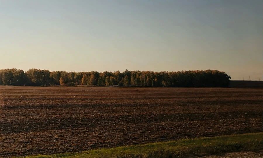 В 2026 году в Орловской области не зафиксировали ни одного лесного пожара