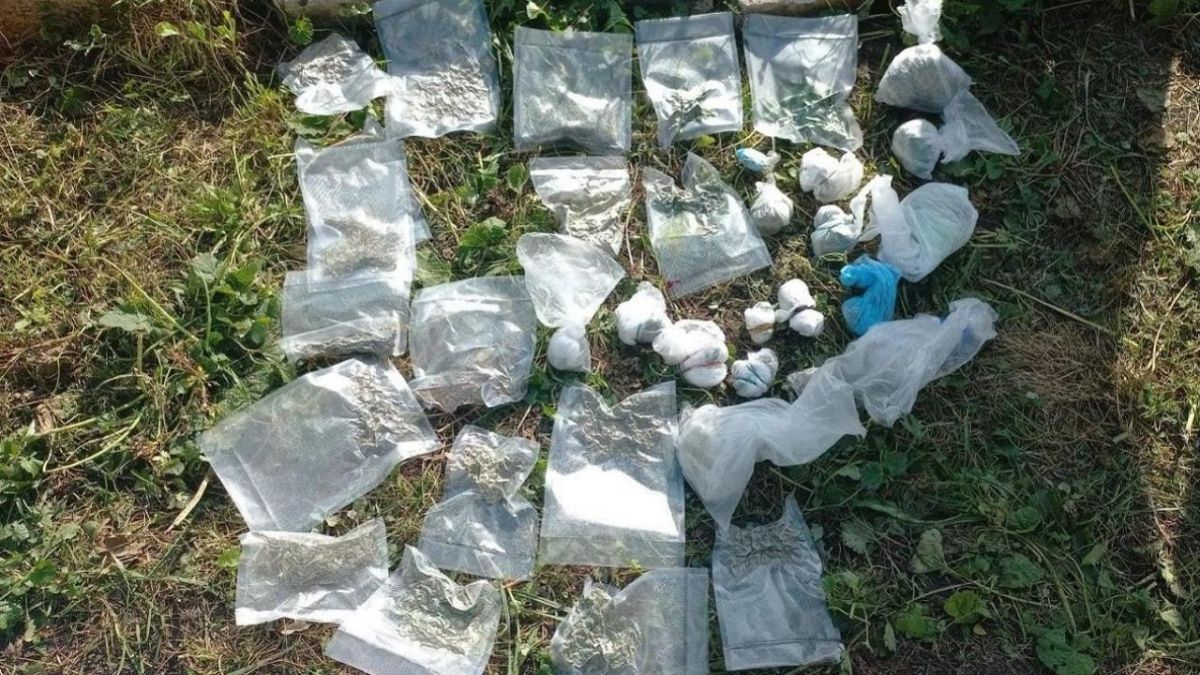 Полицейские случайно обнаружили почти 300 кустов конопли у жителя Орловской области Полицейские случайно обнаружили почти 300 кустов конопли у жителя Орловской области