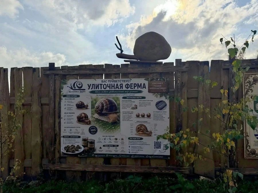 Слушатели «Школы фермера» изучили опыт производства на «Орловской улитке»