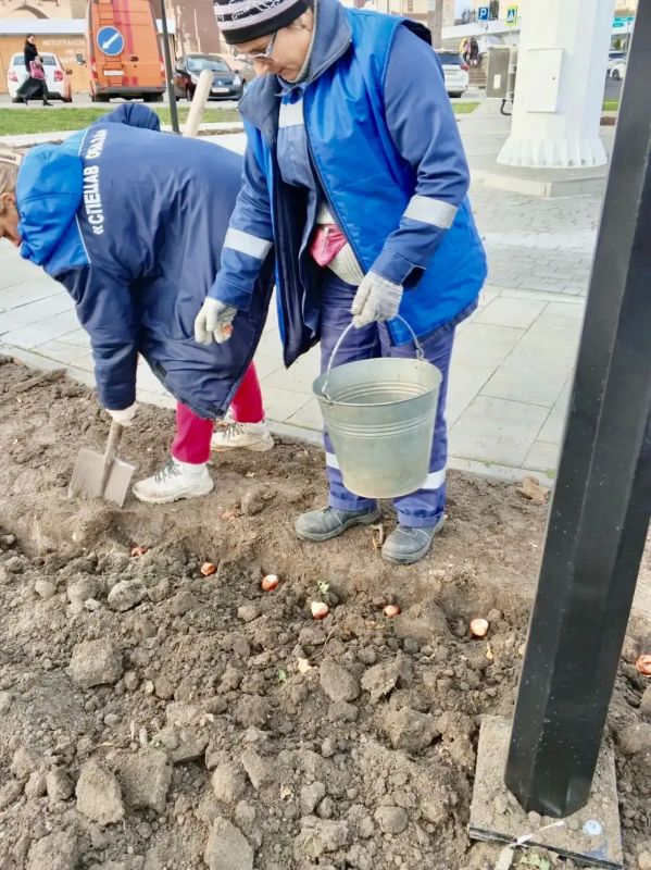 В Орле к весне высадят 75 тыс В Орле к весне высадят 75 тыс