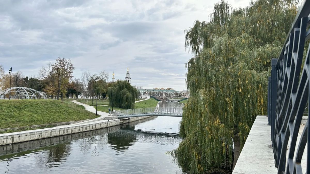 Доброго и утра и доброго хорошего дня, орловцы! Доброго и утра и доброго хорошего дня, орловцы!